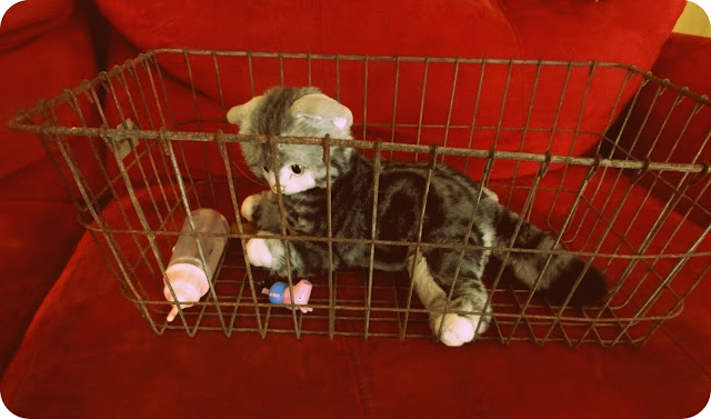 She wants a pet in the worst way and loves animals of all kinds