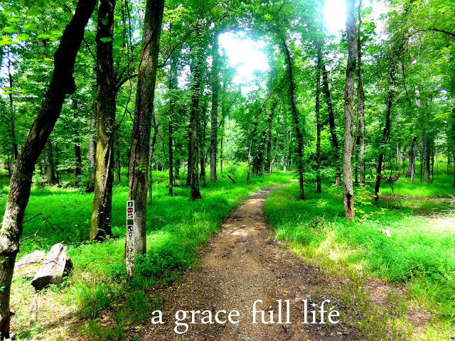 Battleground in Georgia 