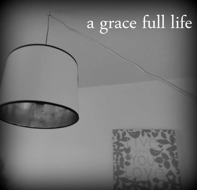 I love this go-anywhere pendant light I got at Lowes!