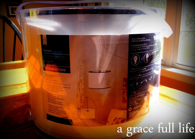 I love Lowes for inexpensive lighting