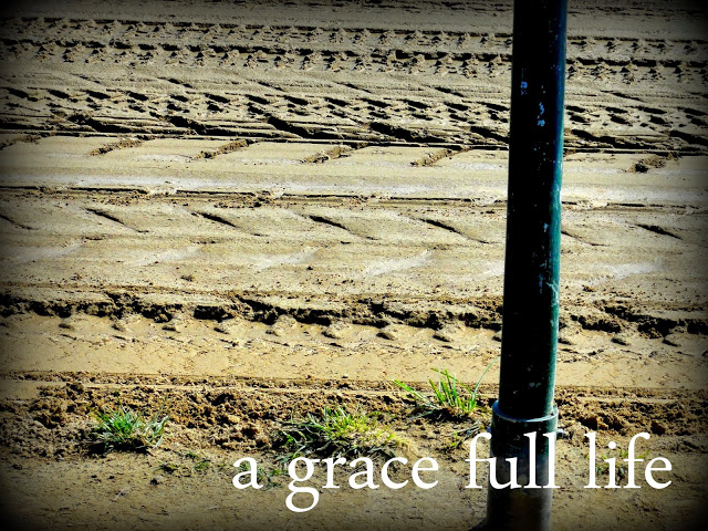 the mud at Churchill Downs in Louisville