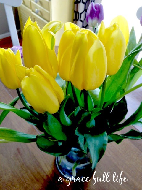 Tulips from my husband