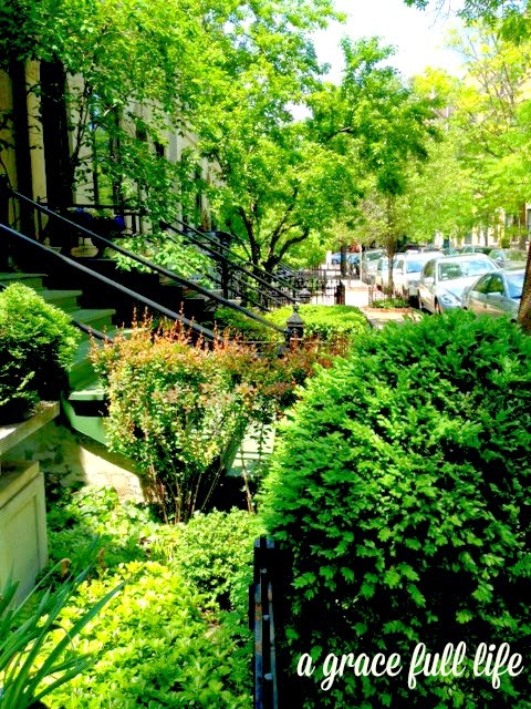 Beautiful Old Town Chicago 