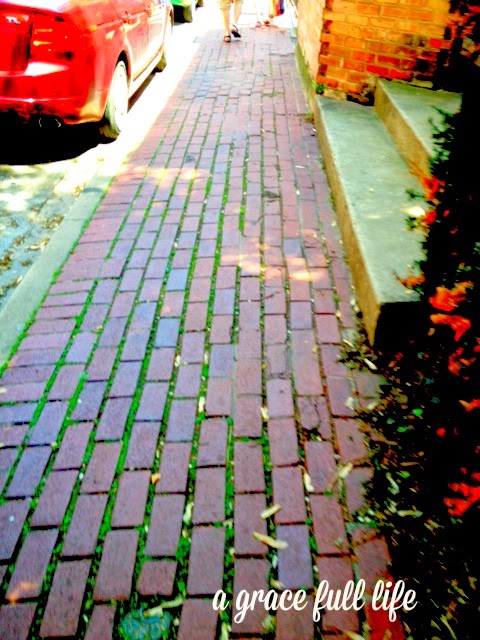 Brick Sidewalks Chicago 