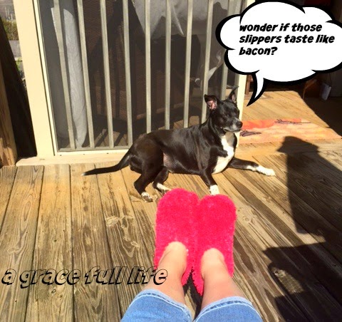 Sitting on the deck Ooltewah Tennessee Spring Break