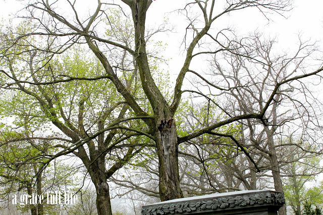 John Hughes grave site 