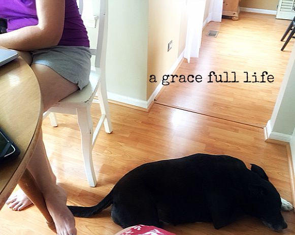 dog by my side while writing 