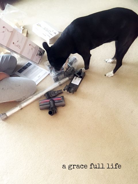 Dyson so easy a dog can do it 