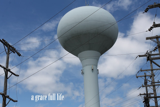 Save Ferris Water Tower 2015