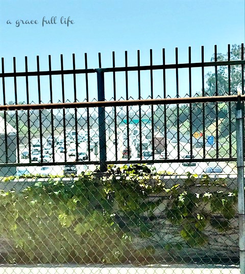 california, hollywood, travel, budget